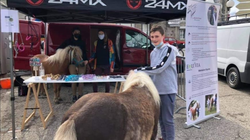 Les poneys sur les marchés